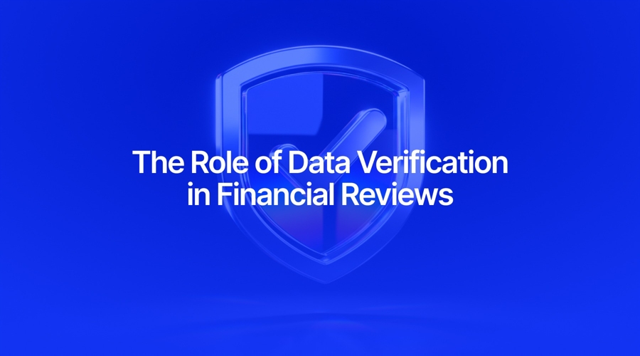 The Role of Data Verification in Financial Reviews